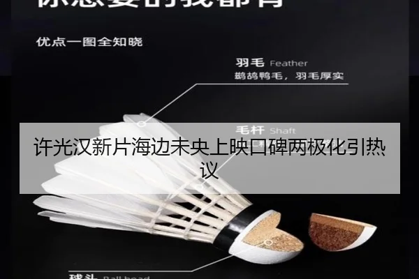 许光汉新片海边未央上映口碑两极化引热议
